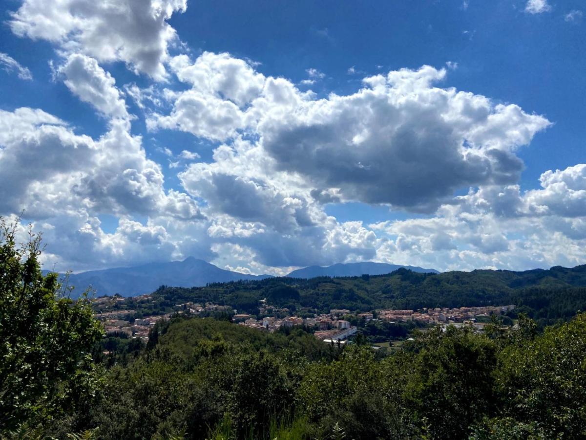 Casa Olivera- apartament al Passeig Font Vella Sant Hilari Sacalm Esterno foto